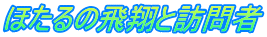 ほたるの飛翔と訪問者